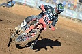 _ROB6794 (Copy)